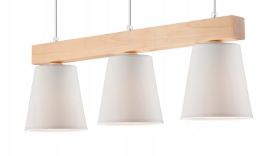 ff8f0623ba240f9e998e77a5c1c5c5e4