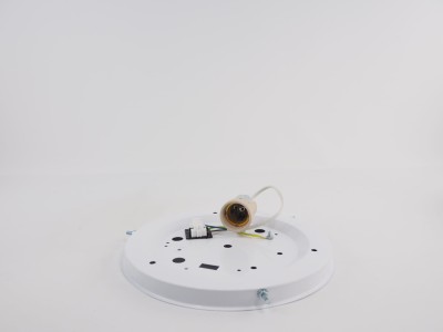 P4201006.JPG